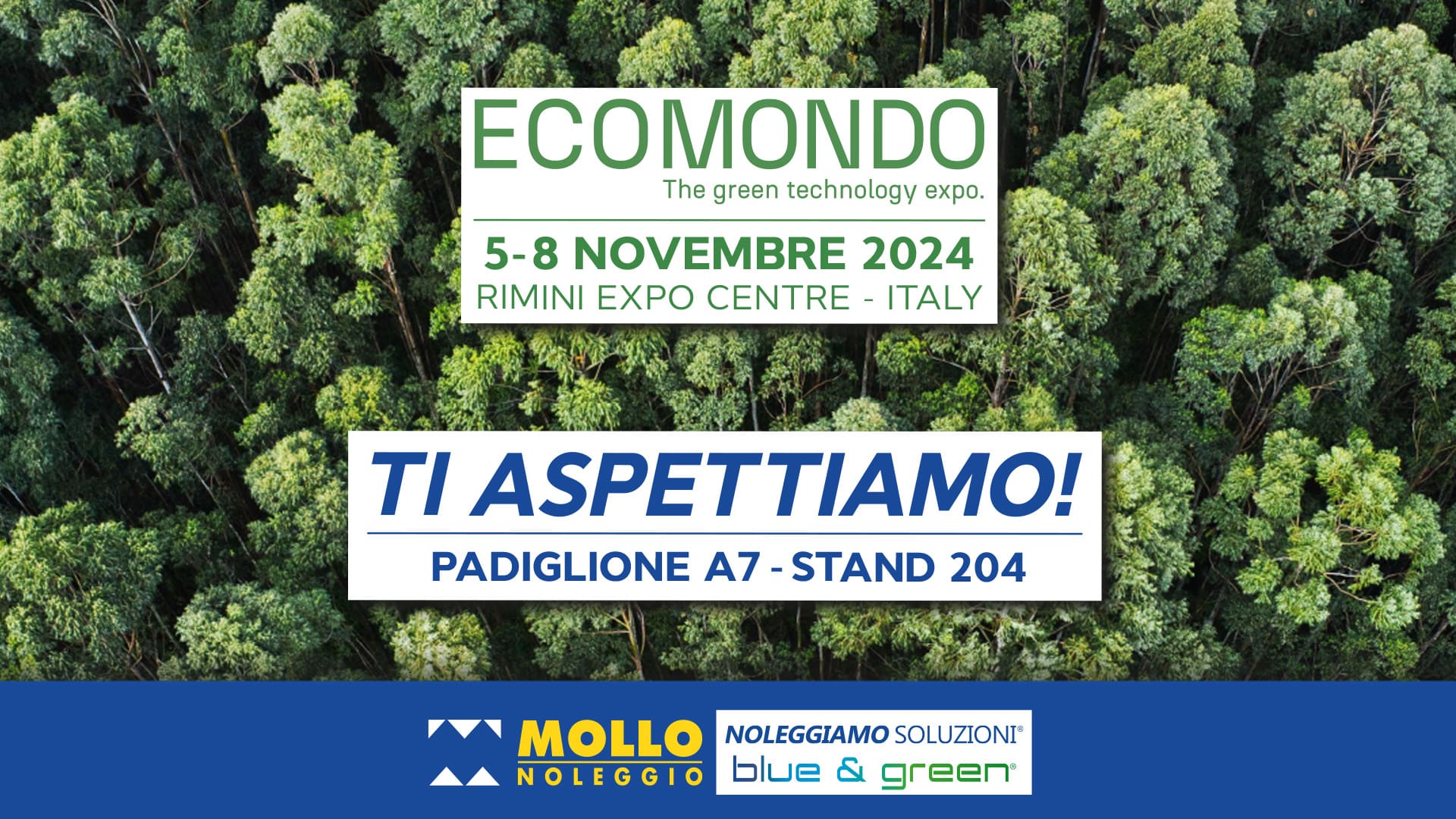 Mollo Noleggio Ecomondo Desktop